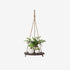 Plants Holder