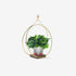 Inez Plant Pots