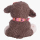 Juniors Sheep Soft Toy