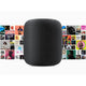 APPLE HOMEPOD (SPACE GREY)