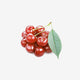 Fresh Cherry Fruits