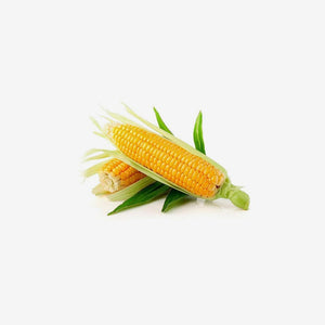 Fresh Corn